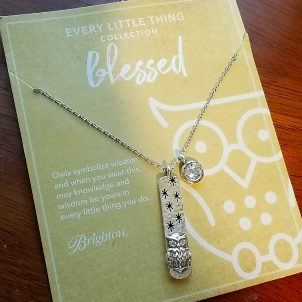 Owl Pendant Necklace